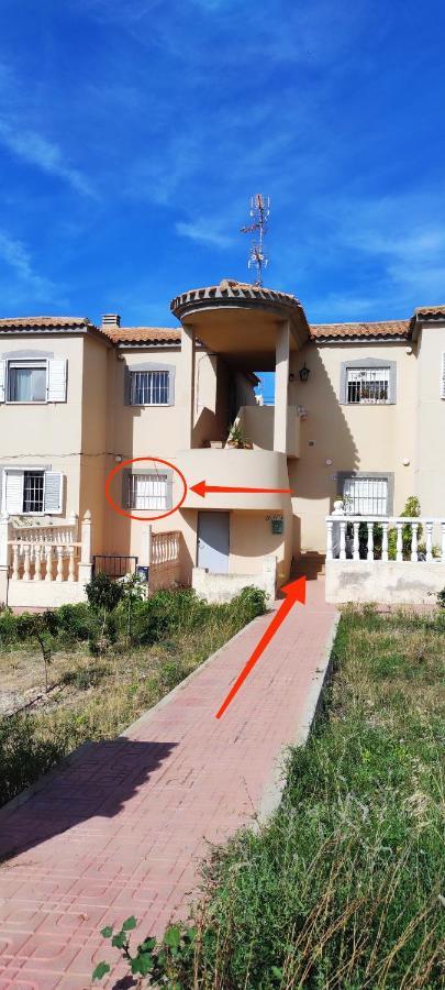 Zeus Beach La Mata トレビエハ エクステリア 写真